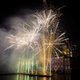 Watervogels van streek door vuurwerk