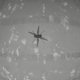 ▶ Zo maakte helikoptertje Ingenuity eerste gemotoriseerde vlucht op Mars