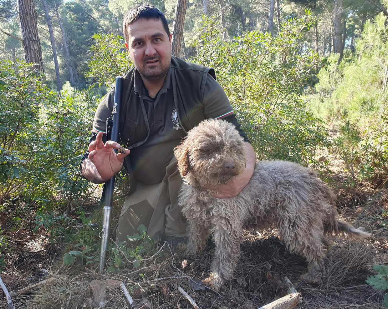 Stefano Scaccia mostra i tartufi trovati: 'Circa 5 grammi.  Non è molto.'  Figura di Pauline Walkenet