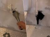 Vrouw vindt haar kat niet meer nadat werkmannen badkamer renoveren