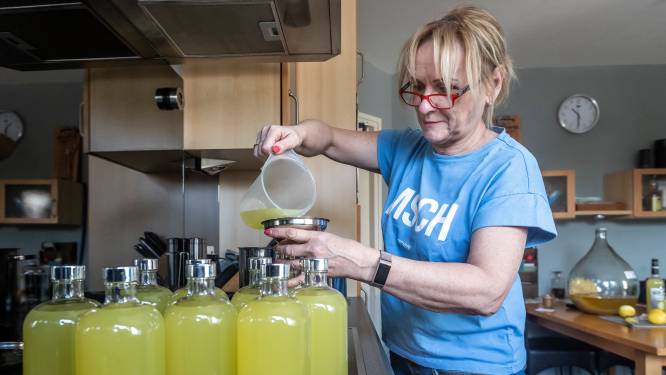 De beste limoncello van de wereld komt uit Ital...nee,  De Mortel