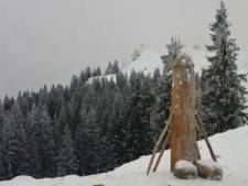 Houten penis terug op Duitse bergtop, maar wel langer en dunner