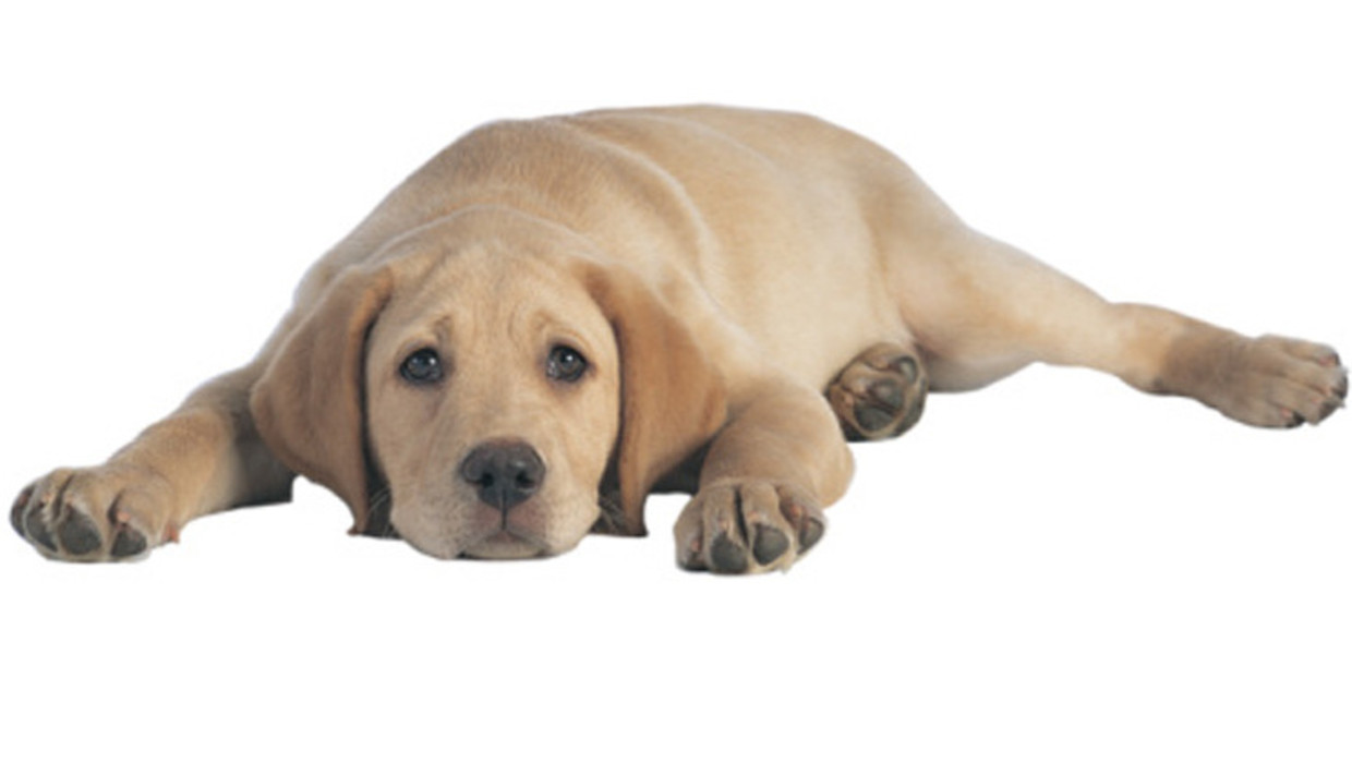 null Beeld Thinkstock