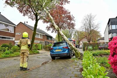 Boom waait om en belandt op auto: brandweer probeert schade te beperken