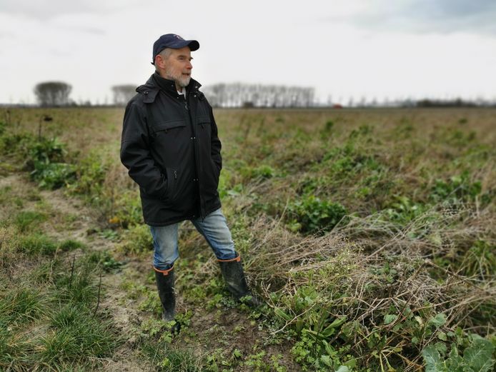 Theo Buijsse in zijn eigen natuurgebied bij Draaibrug, kijkt en wijst. Zangvogels, een haas, zwanen. Er beweegt van alles. In de zomer volop bloemen waar veel vlinders, insecten en hopelijk patrijzen op af komen.
