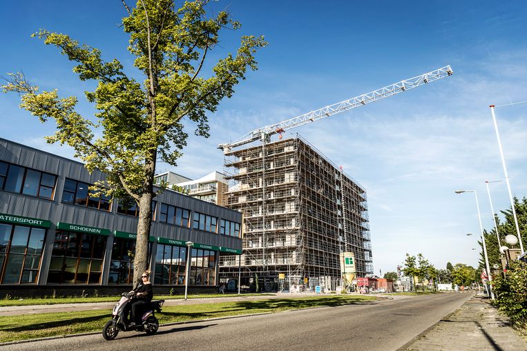 Ook in de Buiksloterham in Amsterdam-Noord moeten veel bomen wijken voor nieuwbouw. Beeld ANP