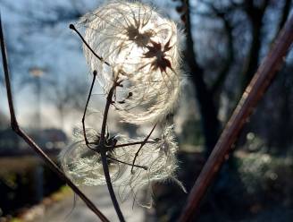 Na regen komt (winterse) zonneschijn
