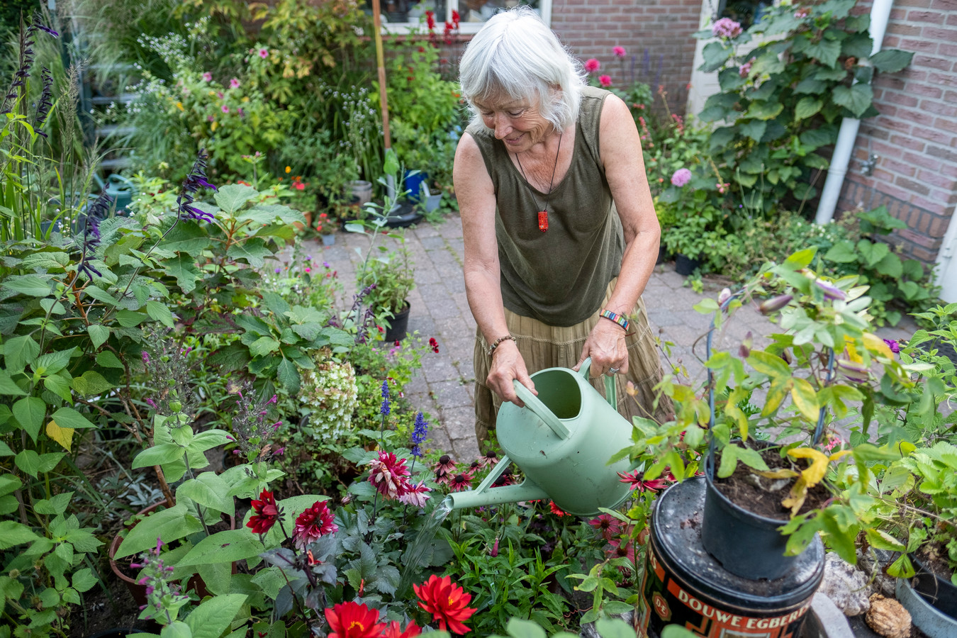 Letty 69 Uit Heerde Is Dolblij Dat Ze Haar Passie Kan Delen Tientallen Mensen In Haar Tuin 