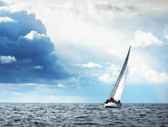 Zeilboot zinkt in 15 minuten na aanvaring met walvis - bemanning gered