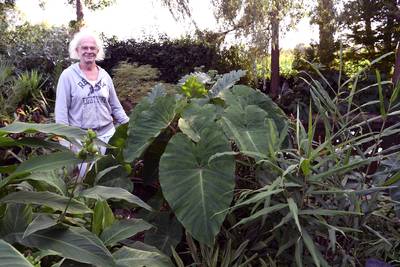 Vakantiegevoel in eigen tuin: Oosters huisje als decor in Conimex-reclame