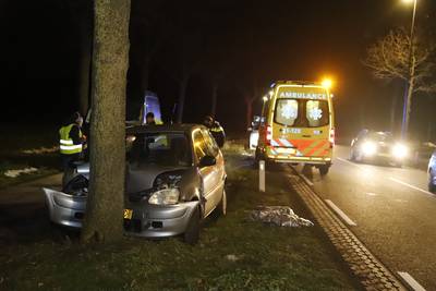 Automobilist gewond door botsing tegen boom in Rijkevoort