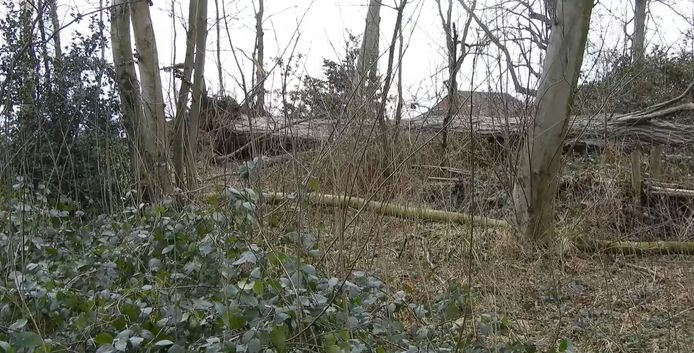 in het park Mariënstede is er door de storm heel wat schade