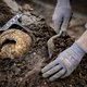 ‘Archeologische vondst’ blijkt welbekende muur