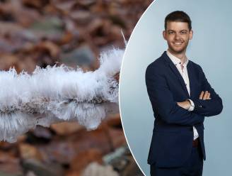 Ook al ‘de baard van Koning Winter’ gespot tijdens het wandelen? Onze wetenschapsexpert legt zeldzaam natuurverschijnsel uit