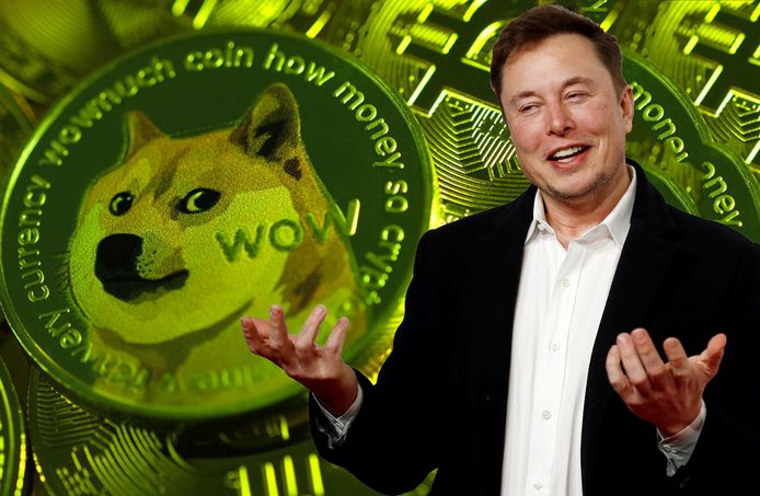 Door een tweet van Musk steeg de waarde van de Dogecoin met meer dan 20 procent.