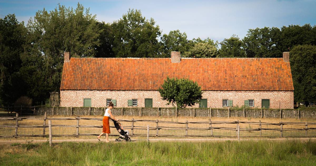 Bokrijk viert Moederdag met verhalen, portretten en handgemaakte ...