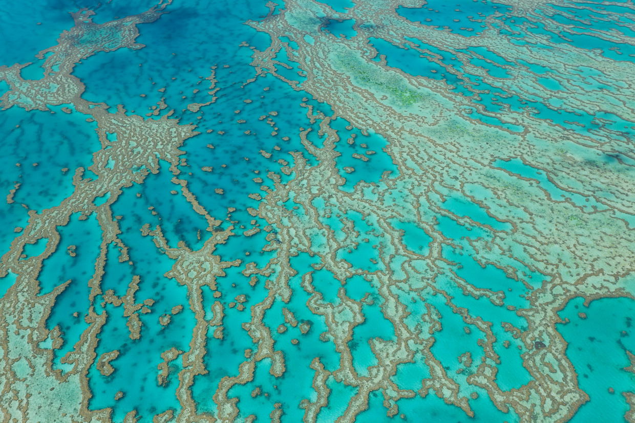 Luchtfoto van het Groot Barrièrerif bij Queensland in Australië waar vlakbij het kolenwinningsproject moest komen.