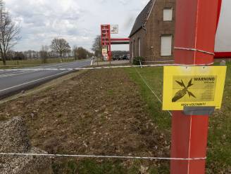 Tulpenvelden omheind met 1,4 kilometer schrikdraad: ‘Voor een bosje in de winkel betaal je al gauw 15 euro’