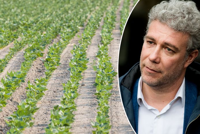 "Het Gewest zal deze landbouwgronden ter beschikking stellen van landbouwers met het oog om de korte keten aan te moedigen", zegt Brussels minister Alain Maron (Ecolo).