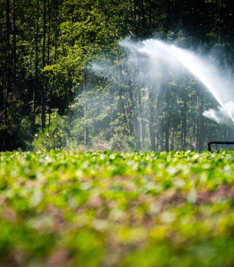 Stelling | Boeren moeten snel meer schadevergoeding krijgen voor de lage waterstand