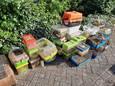 Honderden muizen zijn vorige week weggehaald uit een huis in Oudenbosch, maar volgens een buurtbewoner lopen er nu nog steeds honderden los door het huis.