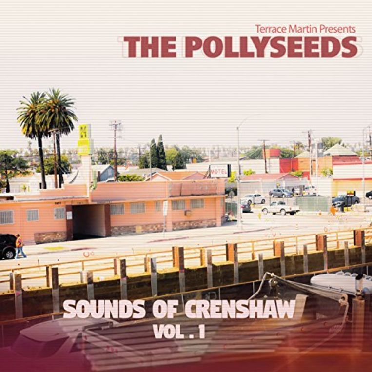 null Beeld © The Pollyseeds