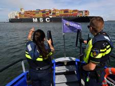 Duizenden havenmedewerkers moeten bewijzen dat ze geen crimineel verleden hebben
