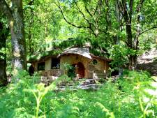 Oubliez tout, déconnectez-vous et dormez dans un “lit dans l’arbre”