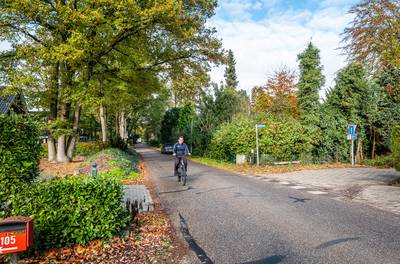 Bladbak verplaatst, naar een betere plek of door agressief gedrag?