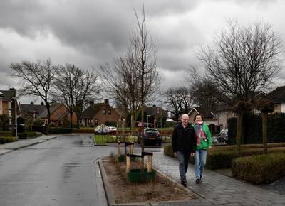Groepje werkt aan groener Liessel, al laten veel dorpelingen de tuinschaar liever liggen