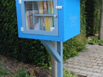 Putse boekenruilkastjes worden feestelijk aangekleed tijdens Dag van de Minibieb