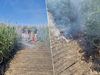 Houten vlonderpad door natuurgebied Bergenmeersen vat vuur 