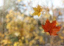  De ‘herfst’ blijft door ons land razen 