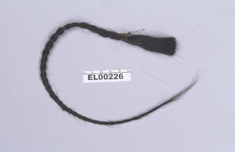 De haarlok van Sitting Bull waaruit onderzoekers toch nog bruikbaar DNA konden halen. Beeld AFP