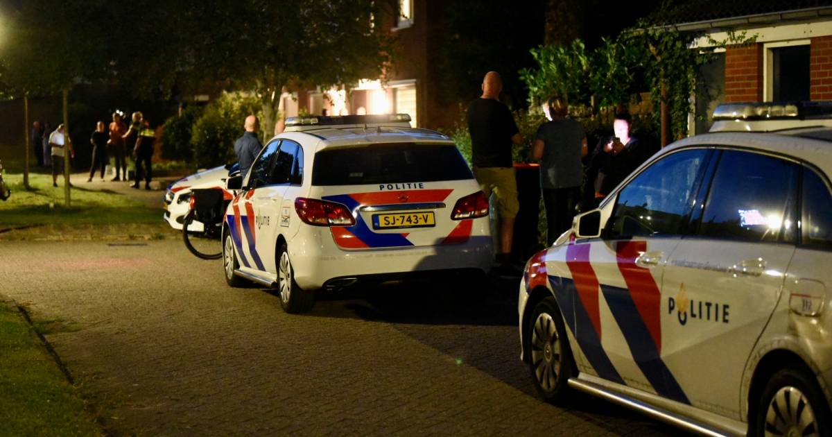 Bij de overval werd een 60-jarige bewoner mishandeld .