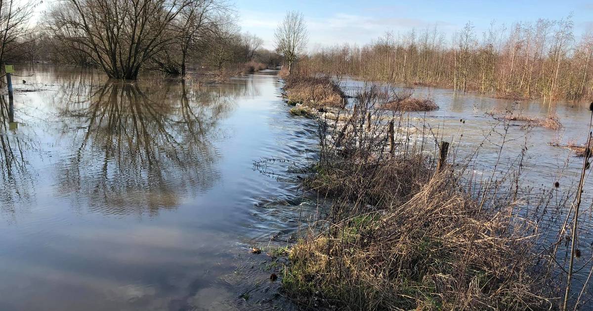 Hoogwater In De Maas Zijrivier Treedt Honderden Meters Buiten Oevers Limburg Ad Nl