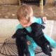 Smelt: puppies overladen baby met kusjes