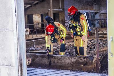 Mestgassen verergeren brand in stal in Sterksel, boer raakt lichtgewond