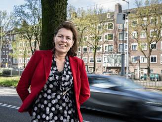 OM vreest wildgroei gemeentelijke flitskasten: ‘Verkeer niet veiliger door Nederland vol te hangen’