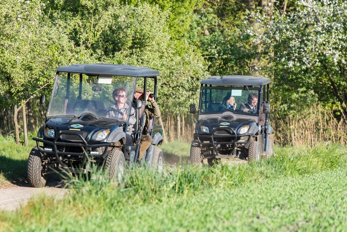Op safari in elektrische buggy's in het buitengebied van Winterswijk.