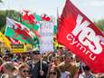 Brexit leidt tot eerste onafhankelijkheidsmars Wales ooit