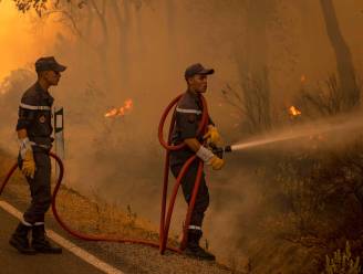 Bosbranden eisen opnieuw twee doden in noorden van Marokko