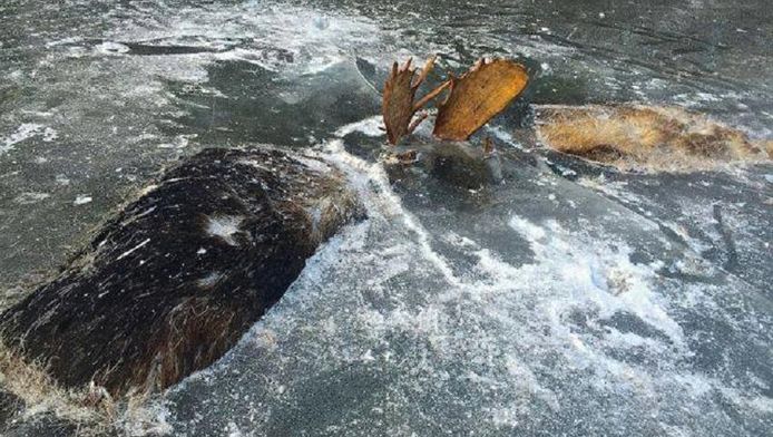 Facebook - Jeff Erickson