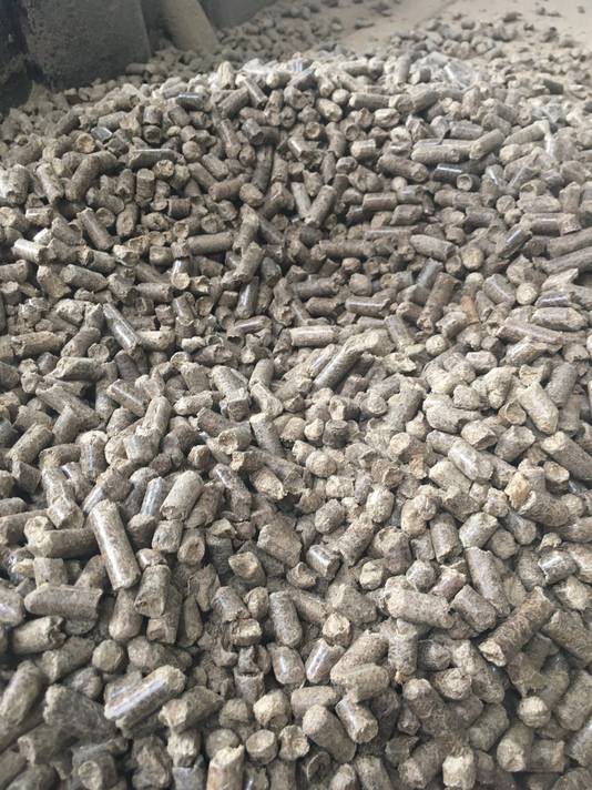 Bagasse-pellets die bij RWE worden gebruikt in de Amercentrale.