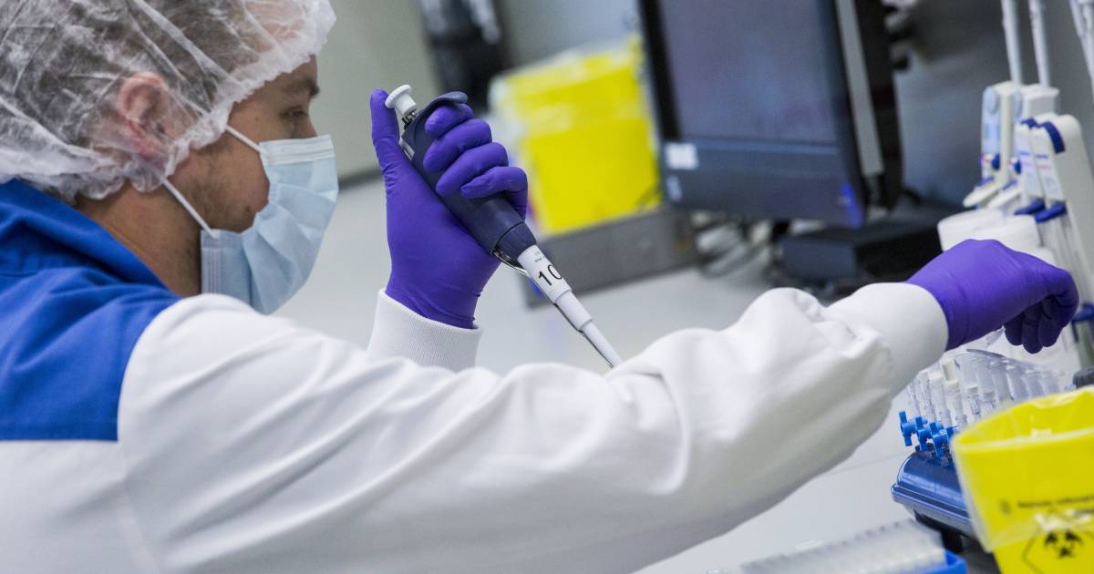 Justice ønsker å bruke private DNA-databaser for å løse gamle drapssaker |  inn i landet