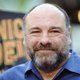 Sopranos-acteur James Gandolfini (51) overleden