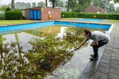 Dit jaar geen kinderen maar kikkers in het zwembad van Nuland