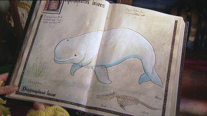 4. De Witte Walvis & De Walrus