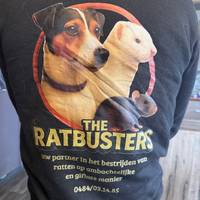 ‘Het heeft niets met vuiligheid te maken’: waarom ratten overal opduiken, ook in propere tuinen