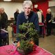 Vijf jaar geleden kreeg Ad een bonsai cadeau van zijn broer en ja, dan weet je het wel